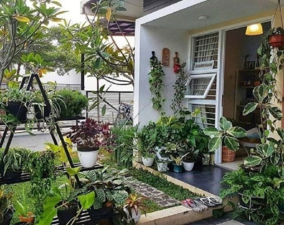 Cara Merawat Tanaman Hias agar Tetap Sehat dan Indah